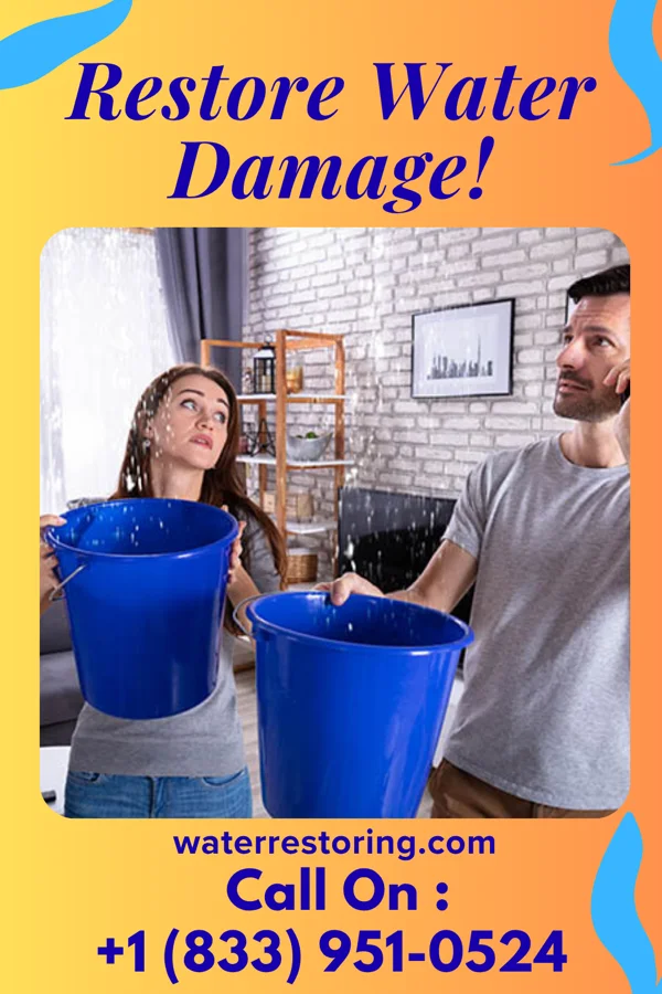 water restoration Ironclad Water Repair LLC Villas