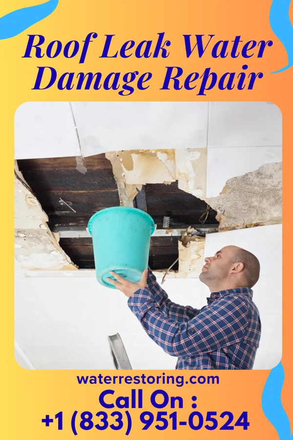 Roof Leak Water Damage Repair in Villas, FL